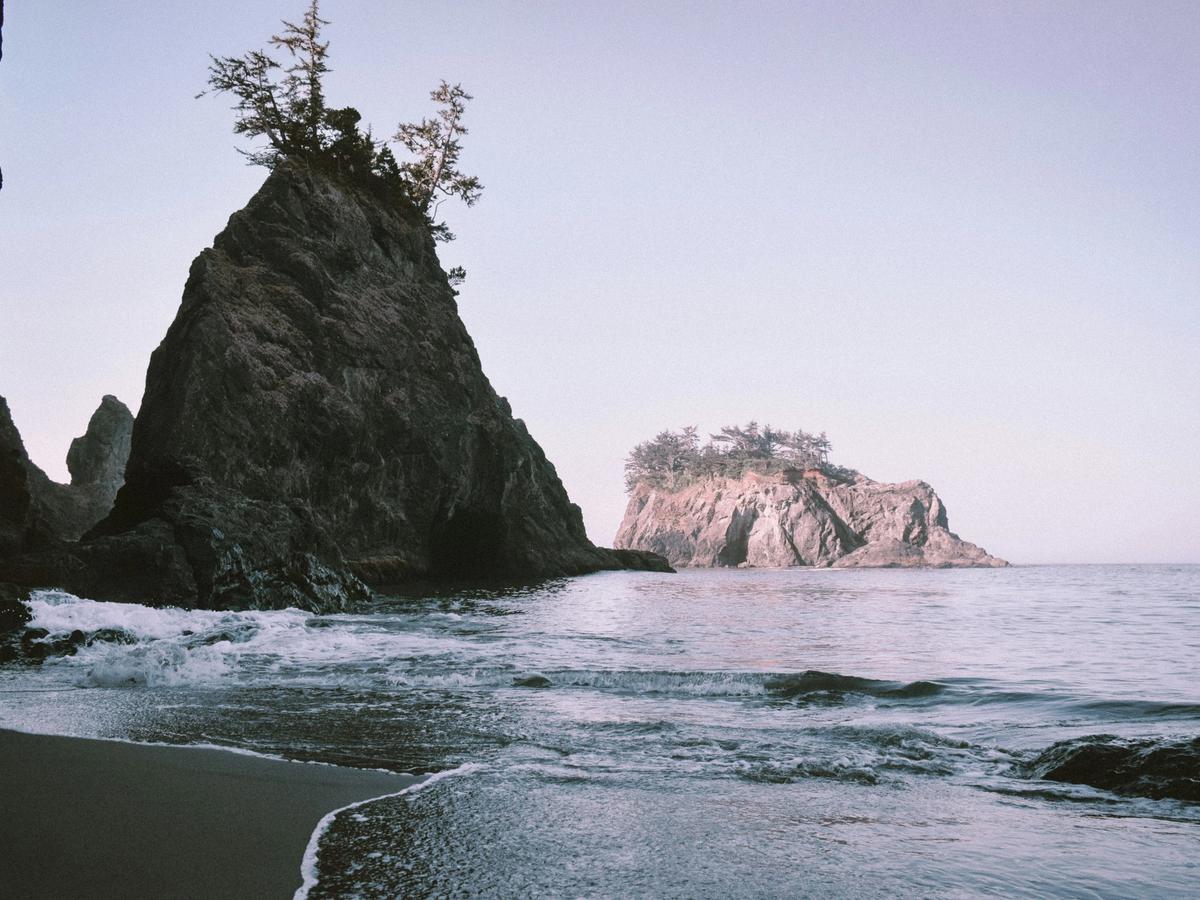 Rugged sea stacks topped with trees rise from the ocean near a quiet shoreline, with gentle waves lapping the beach under a soft, pastel sky.