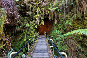 Entrance of the Lava Tubes At Hawai'i Volcanoes National Park