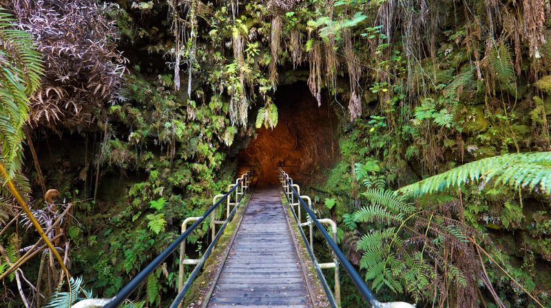 The 9 Best National Parks To Visit and Where To Stay