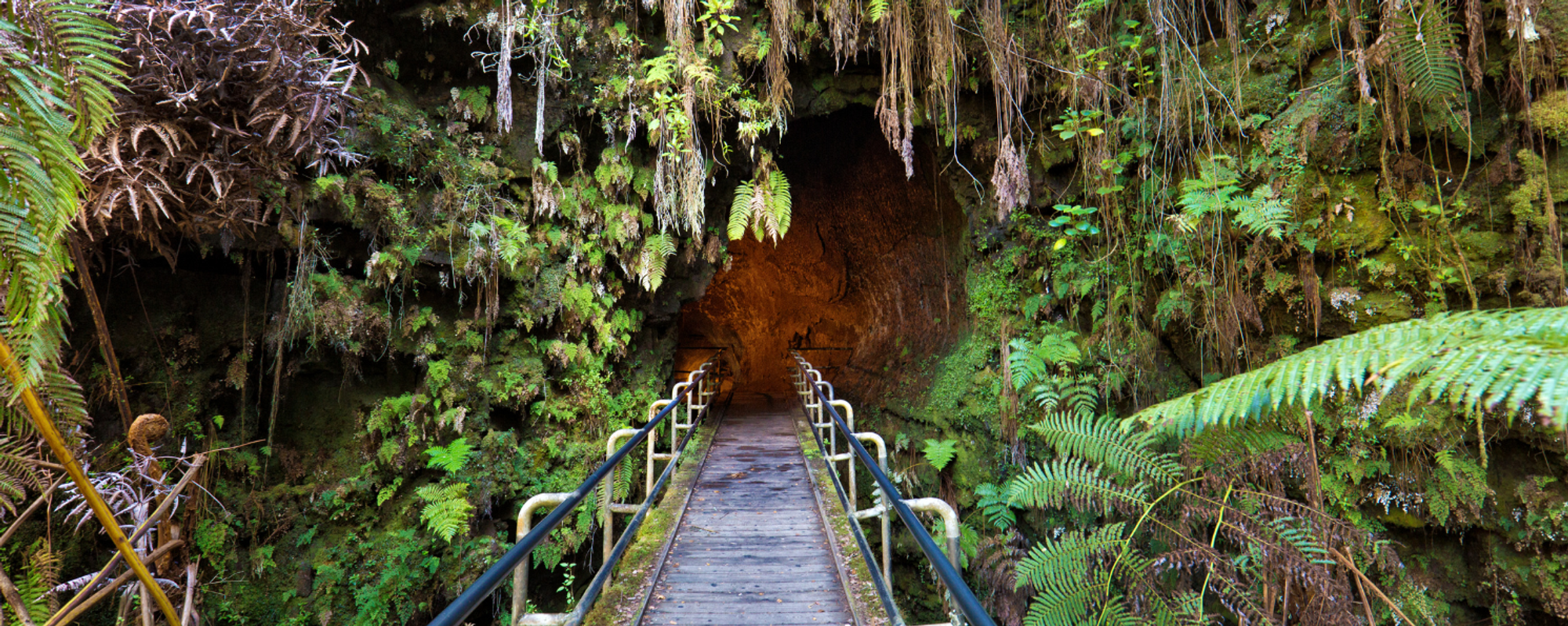 Entrance of the Lava Tubes At Hawai'i Volcanoes National Park