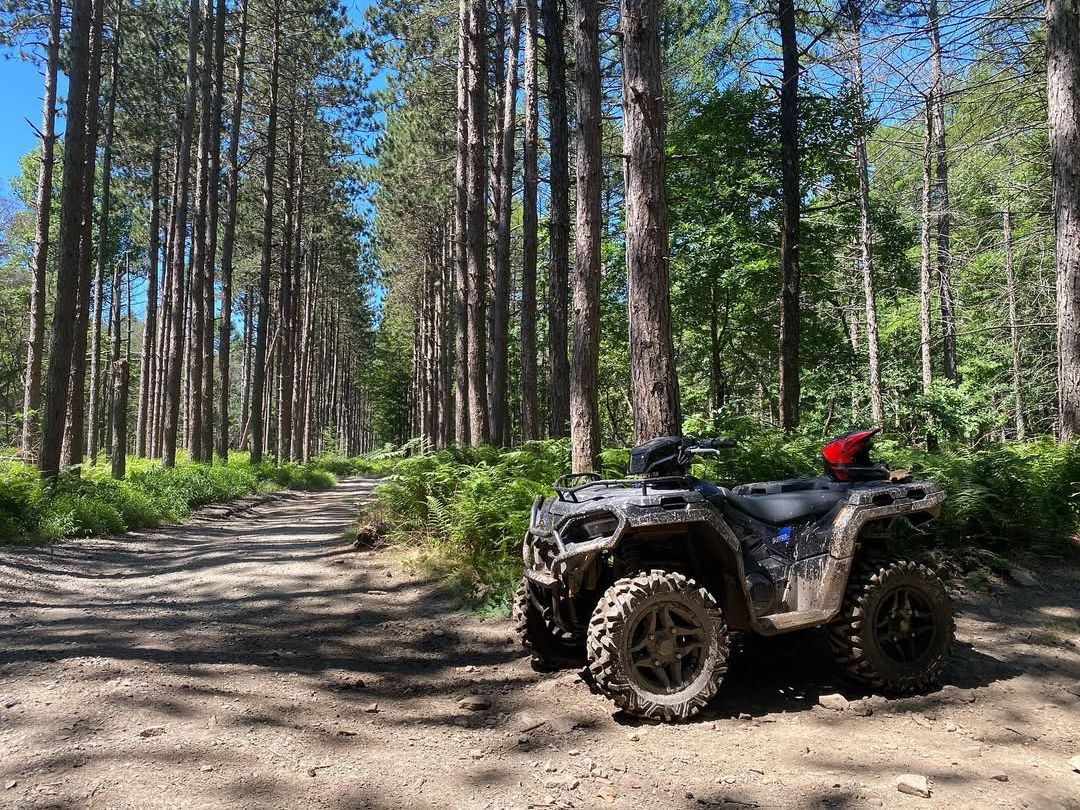 A rugged ATV on a dirt trail deep in Delaware State Forest, surrounded by tall pine trees.
