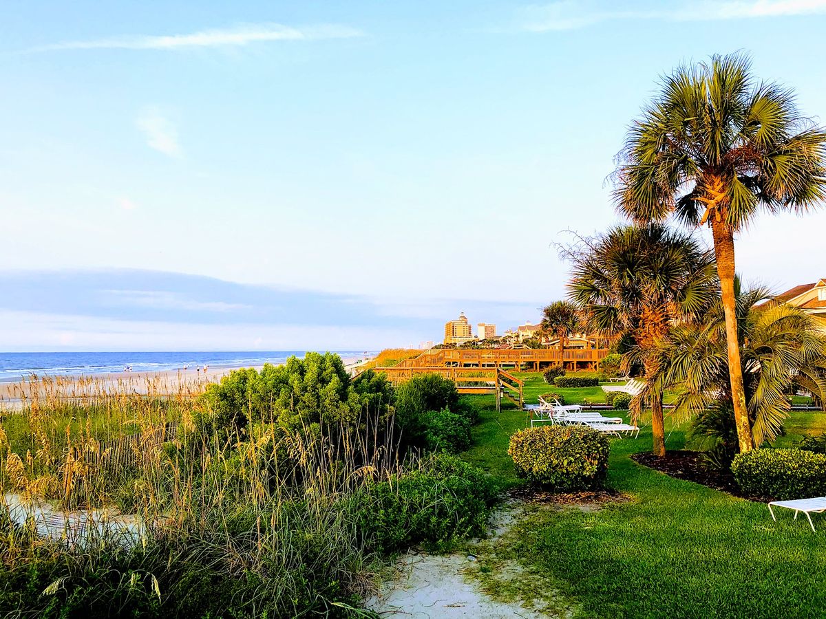 Coastal View of Myrtle Beach With Palm Trees