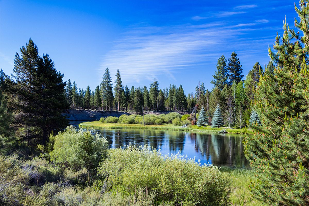 View of Deschutes River and Wilderness in Sunriver, OR