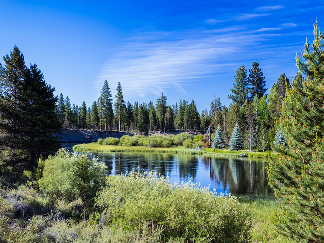 View of Deschutes River and Wilderness in Sunriver, OR
