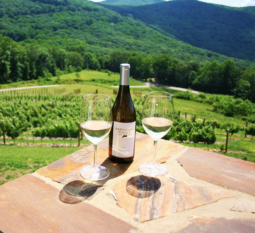 Two glasses of white wine sit beside a bottle of Fainting Goat wine, overlooking rolling green vineyards and mountain views. The sunlight makes the scene bright and peaceful, perfect for a slow afternoon. It captures the easy beauty of a Georgia wine country day.