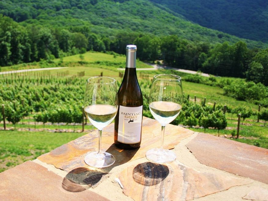 Two glasses of white wine sit beside a bottle of Fainting Goat wine, overlooking rolling green vineyards and mountain views. The sunlight makes the scene bright and peaceful, perfect for a slow afternoon. It captures the easy beauty of a Georgia wine country day.