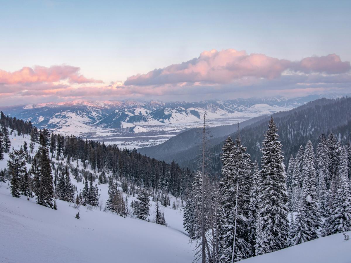 A serene winter landscape unfolds with snow-covered pines and sweeping mountain ranges in the distance, bathed in soft pink hues from the setting sun.