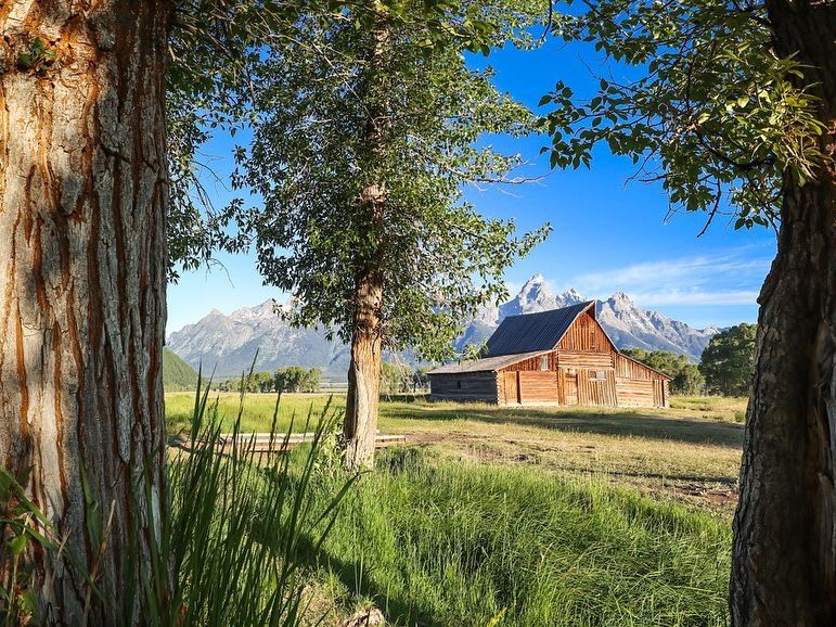 The historic T.A. Moulton Barn sits on open grassland framed by tall trees, with the jagged peaks of the Teton Range rising behind it. Known as the most photographed barn in America, it’s a symbol of Wyoming’s pioneer history.