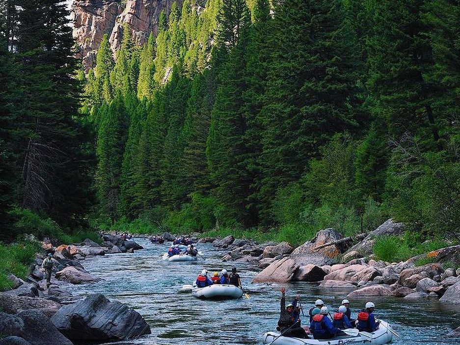 Groups paddle inflatable rafts through a rocky river canyon lined with tall green pines. This whitewater rafting trip brings fun, teamwork, and splashy excitement to your Big Sky adventure.