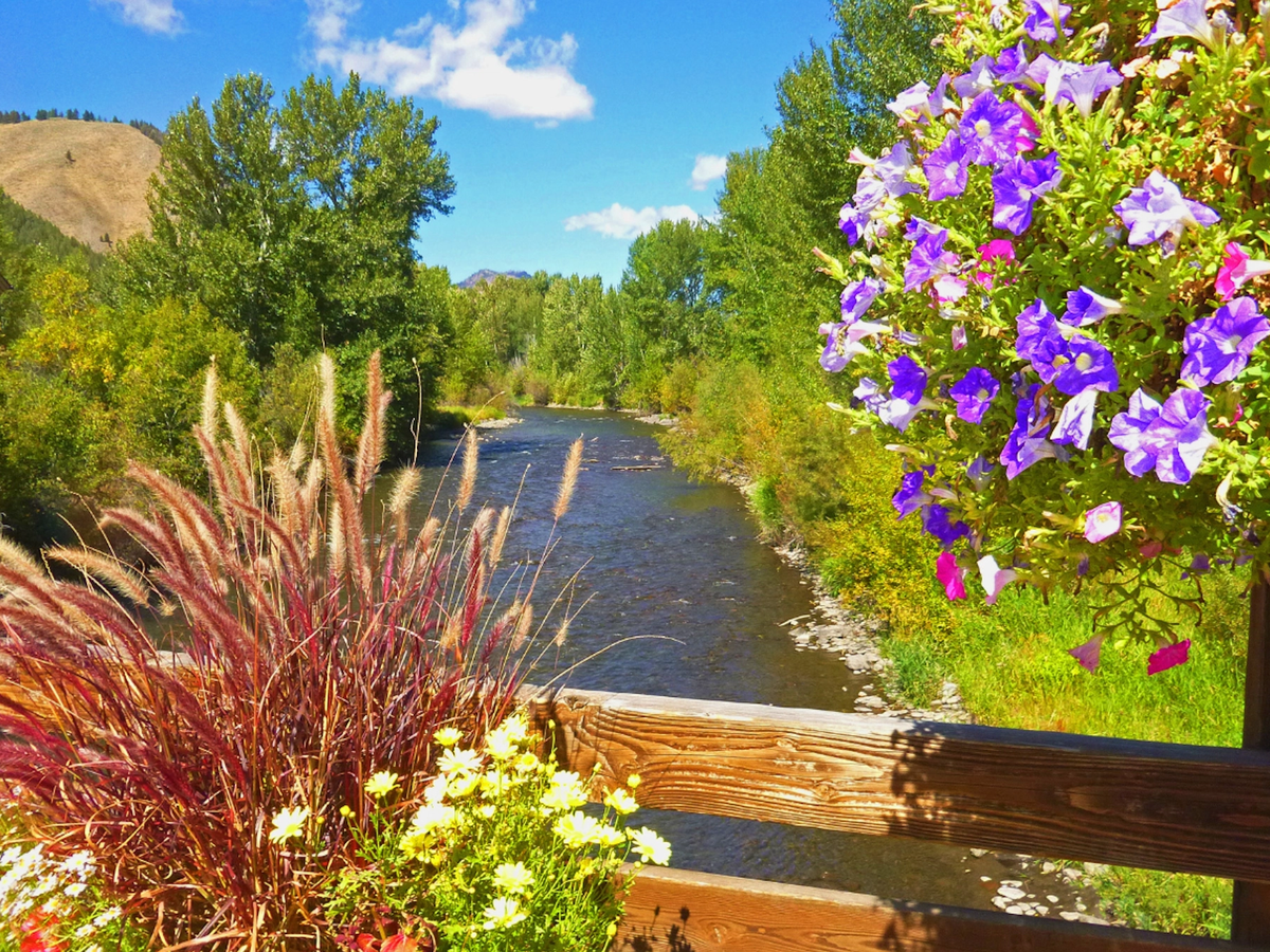 Sun Valley Idaho River and Flowers