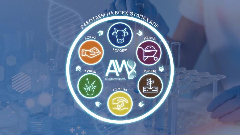 Цикличность здоровья