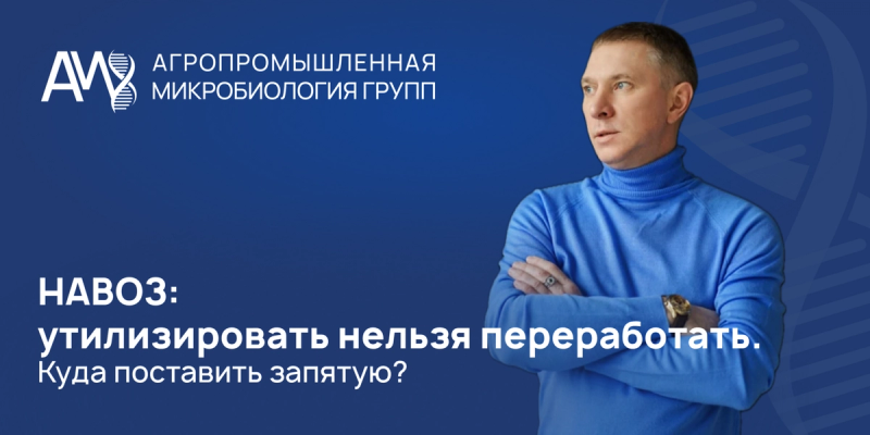 НАВОЗ: утилизировать нельзя переработать. Куда поставить запятую?