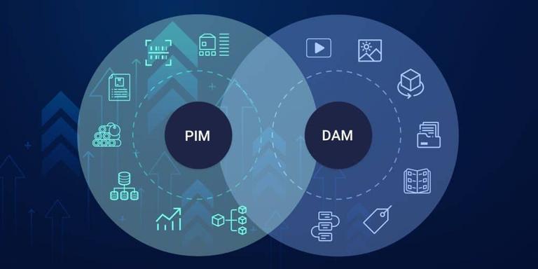 Enterprise PIM & DAM Platform (1)