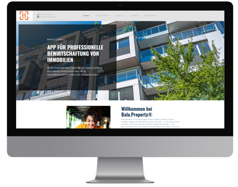 Balu Property Website (1)