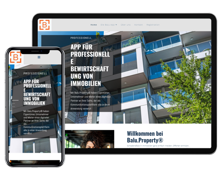 Balu Property Website (2)