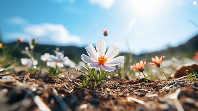 Del Surtidor Perenne