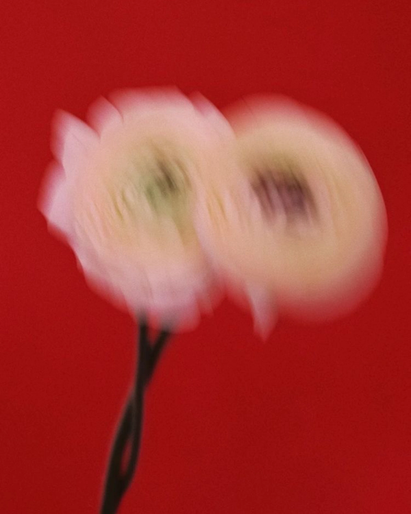 81