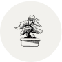 Bonsai Group Logo