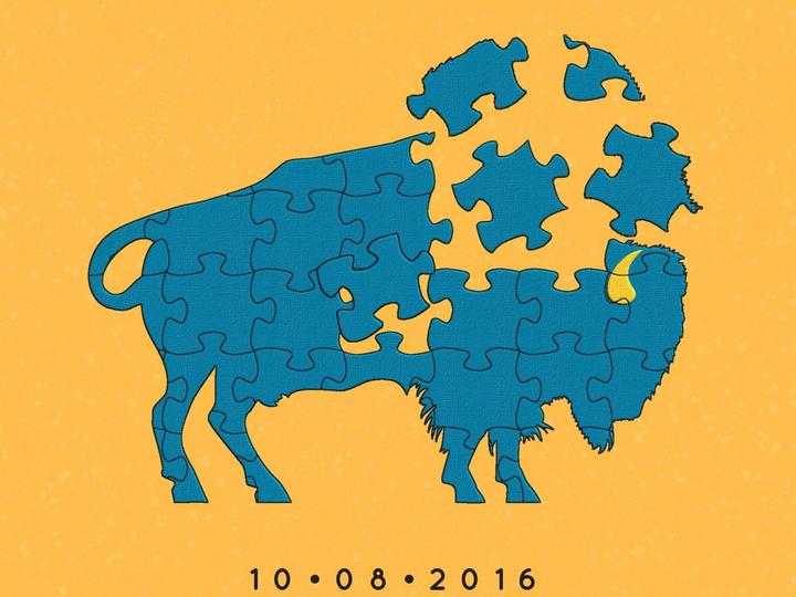 Day Without Pain Gala poster, 2016
