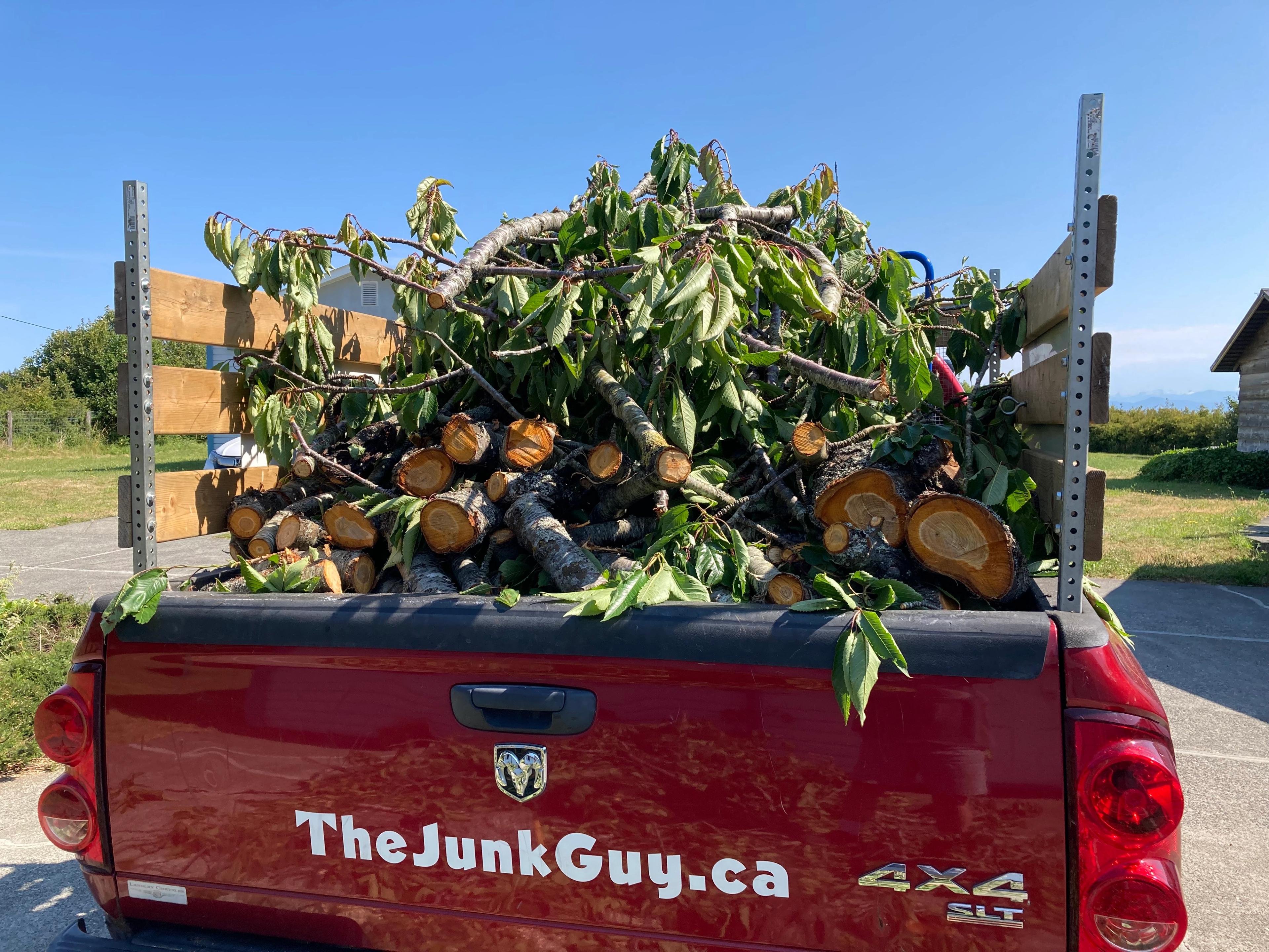 Load of branches we cut to fit in truck