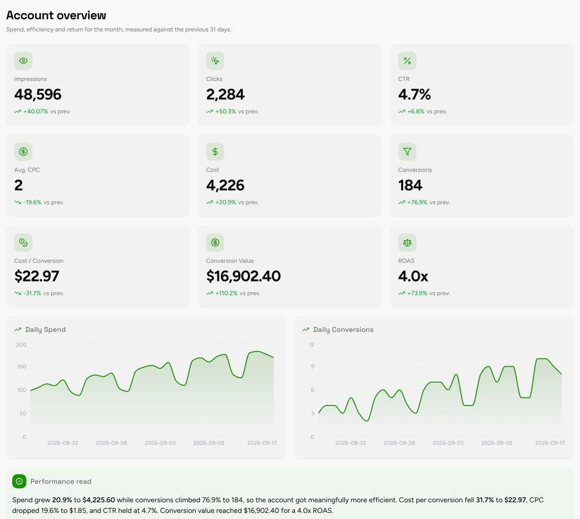 Account Overview section of the Google Ads Performance Report template, with sample data