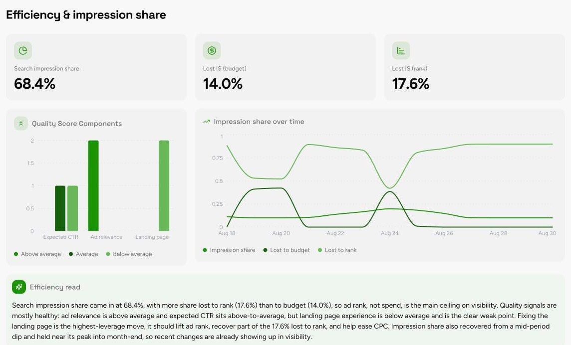 Efficiency and Impression Share section of the Google Ads Performance Report template, with sample data
