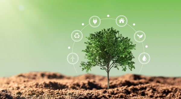 5. Nachhaltigkeit leben