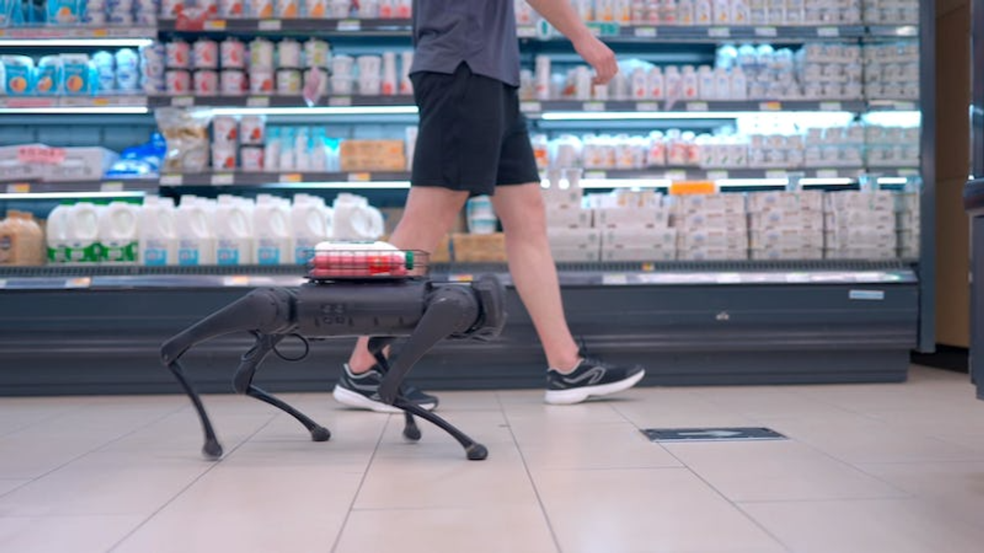 Robot per l'intrattenimento e il supporto sociale