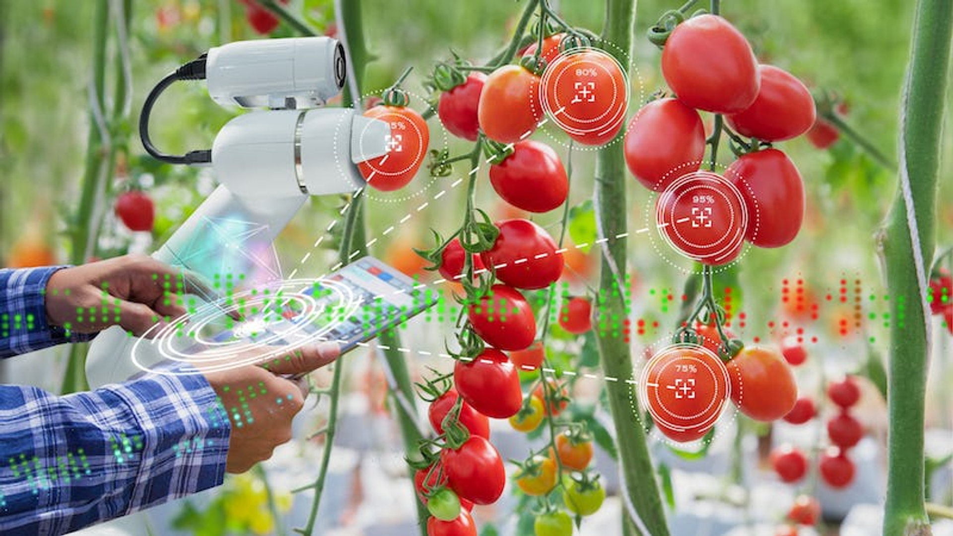 Robot para agricultura y ganadería