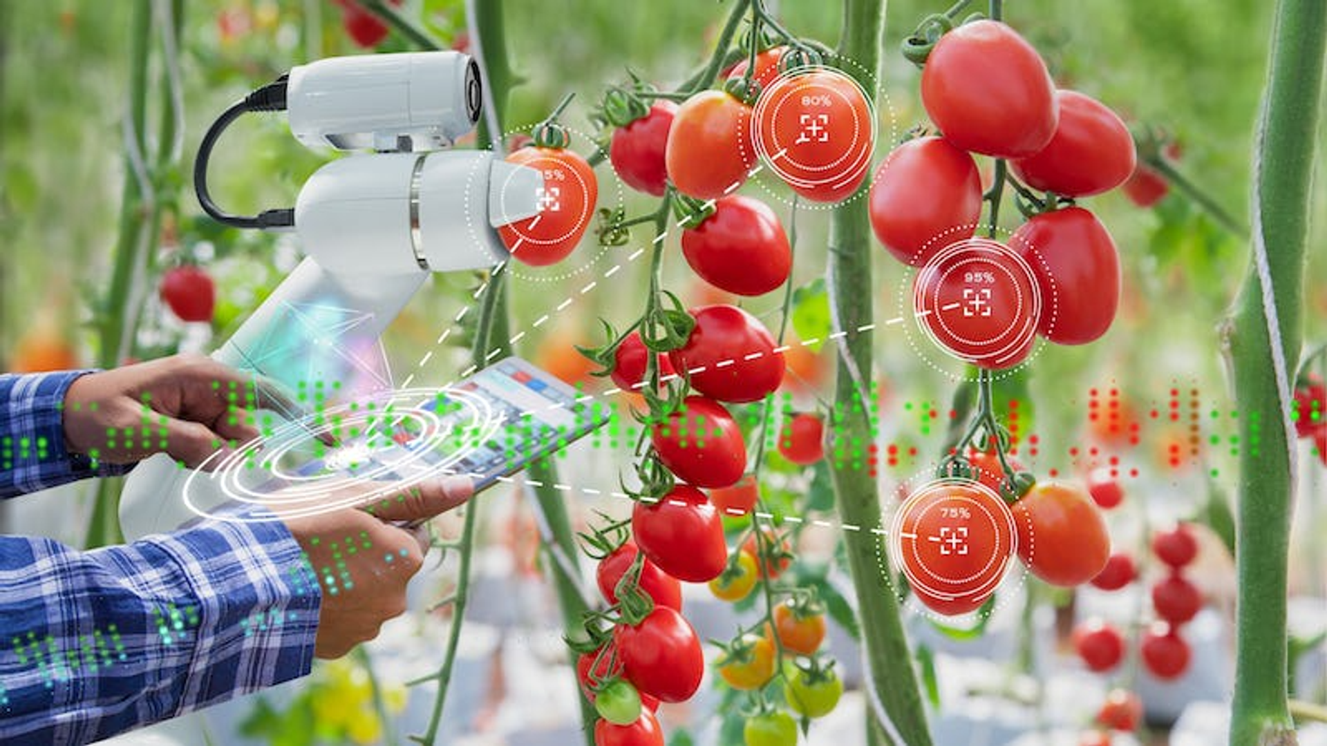 Robot per l'agricoltura e l'allevamento