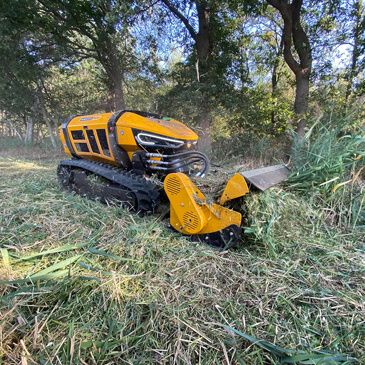 RC Flail Mower