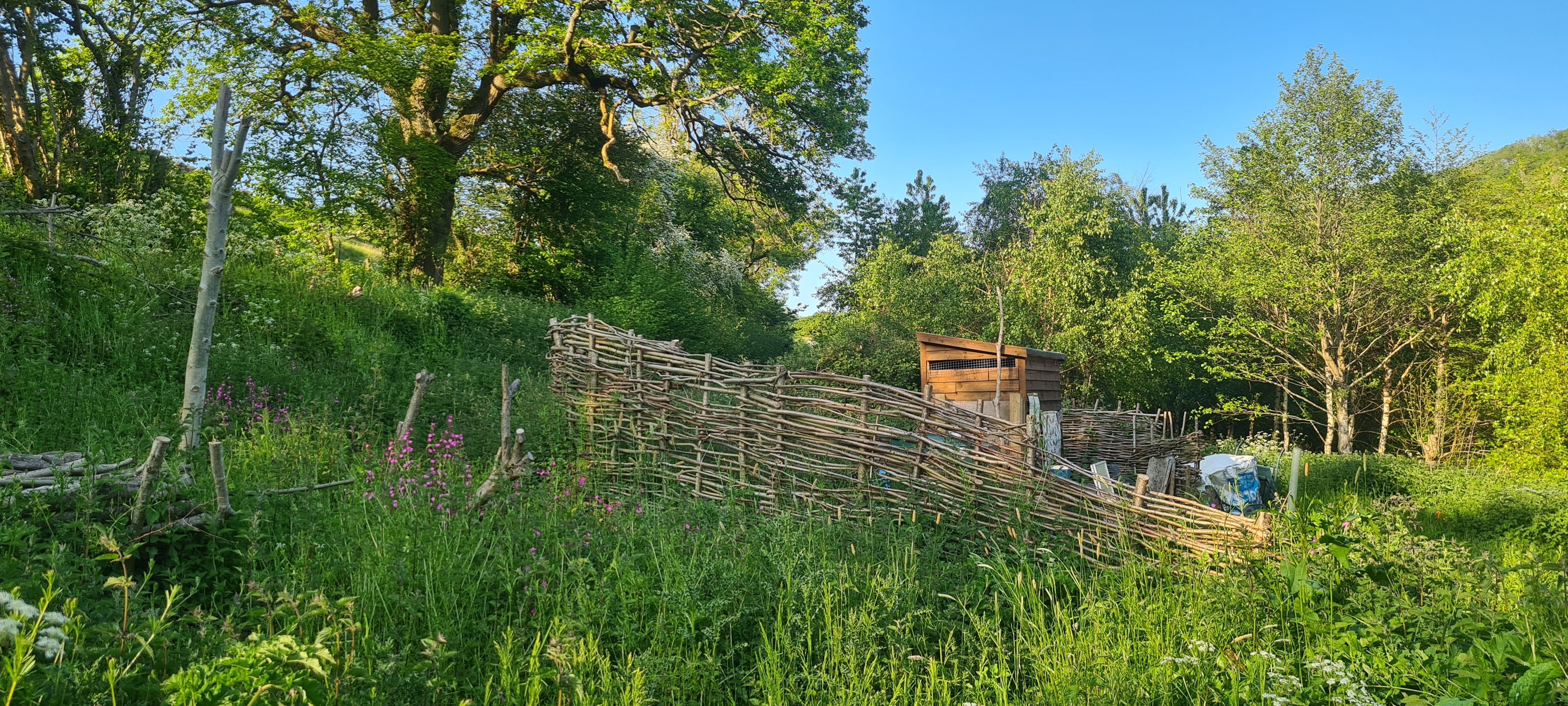Badger gonk in a hat.