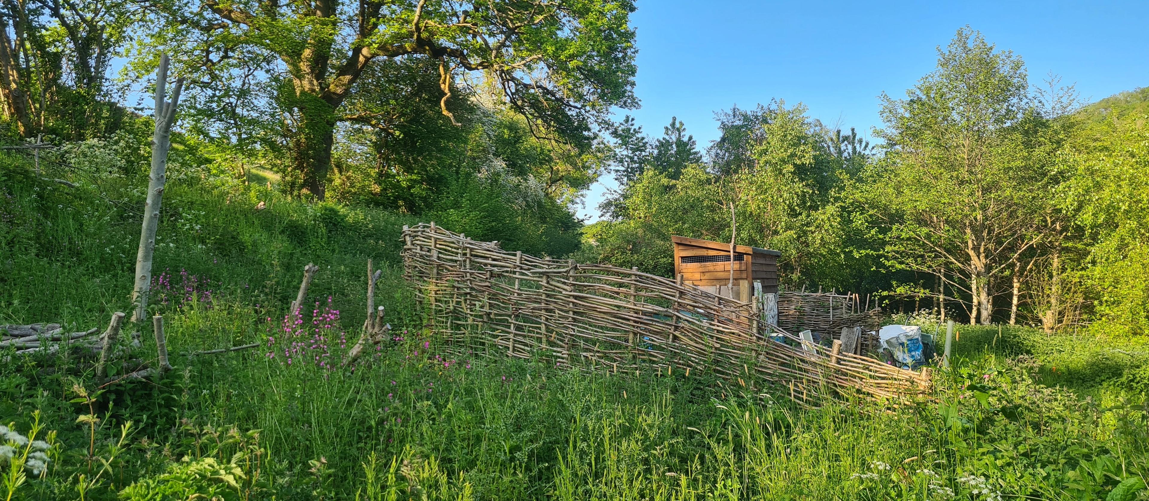Badger gonk in a hat.