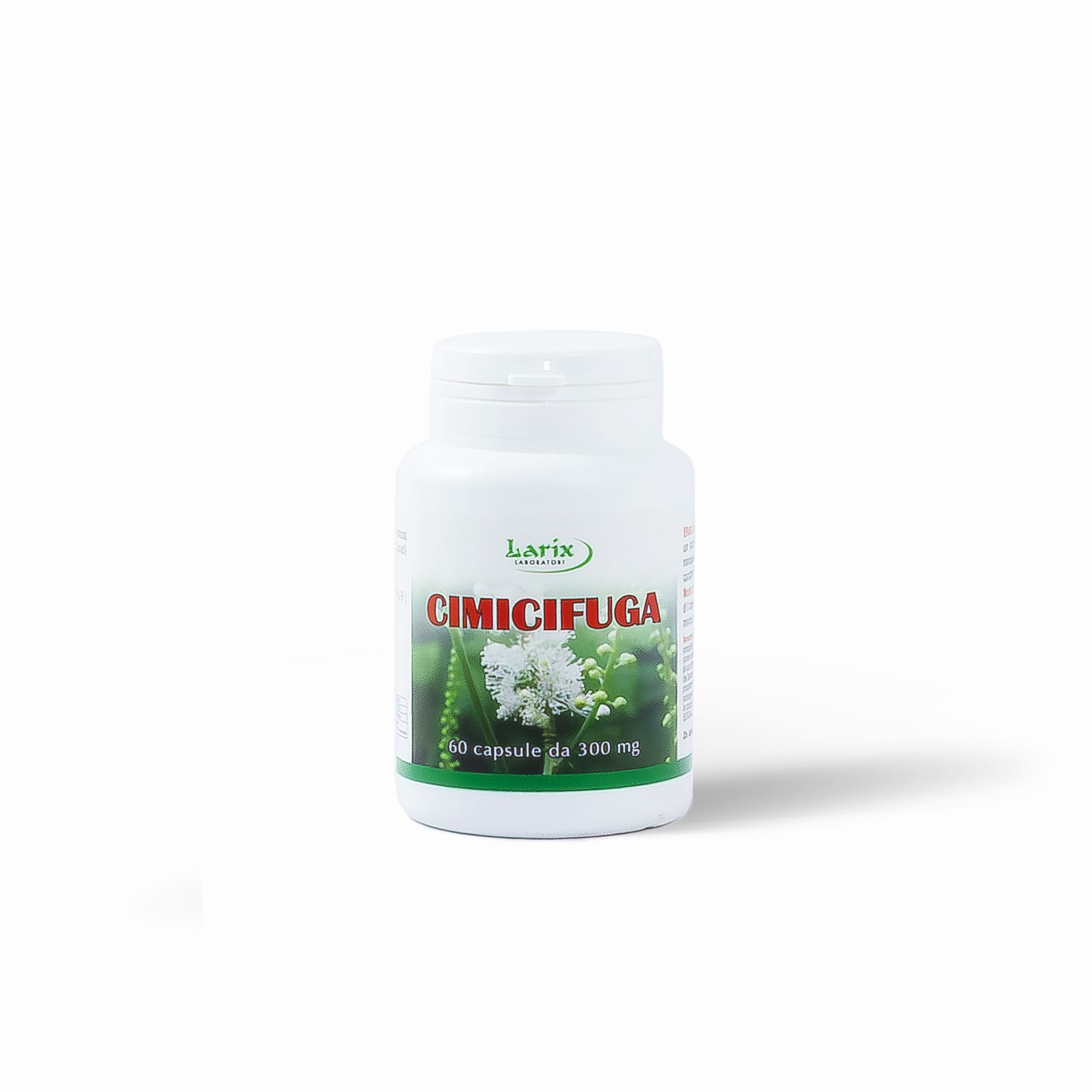 Cimicifuga 