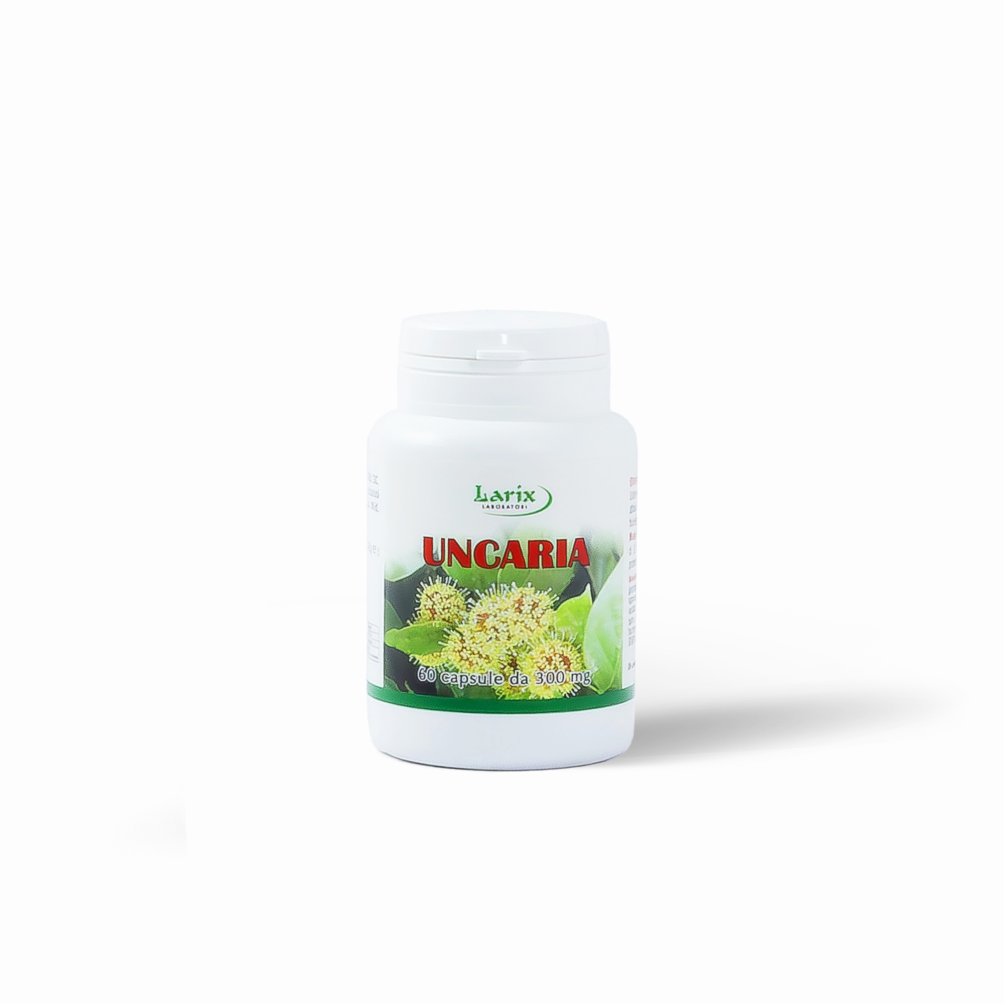 Uncaria