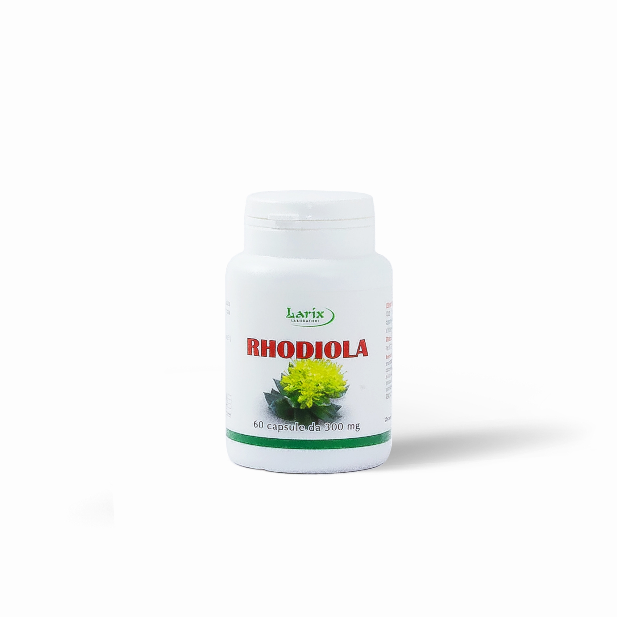 Rhodiola