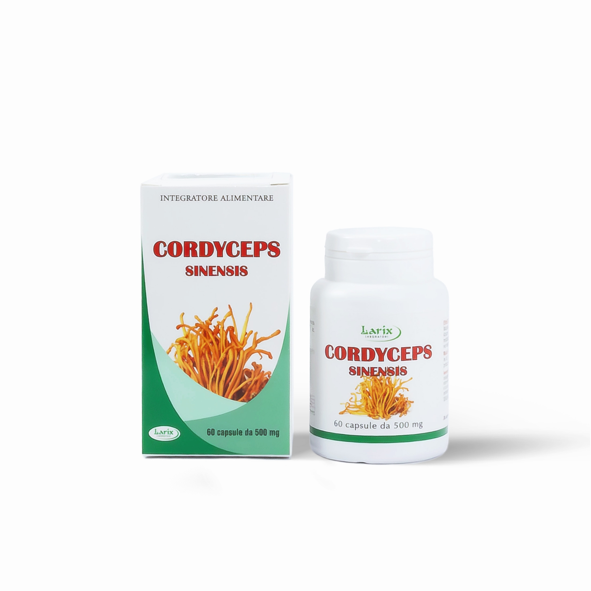 Cordyceps Sinensis