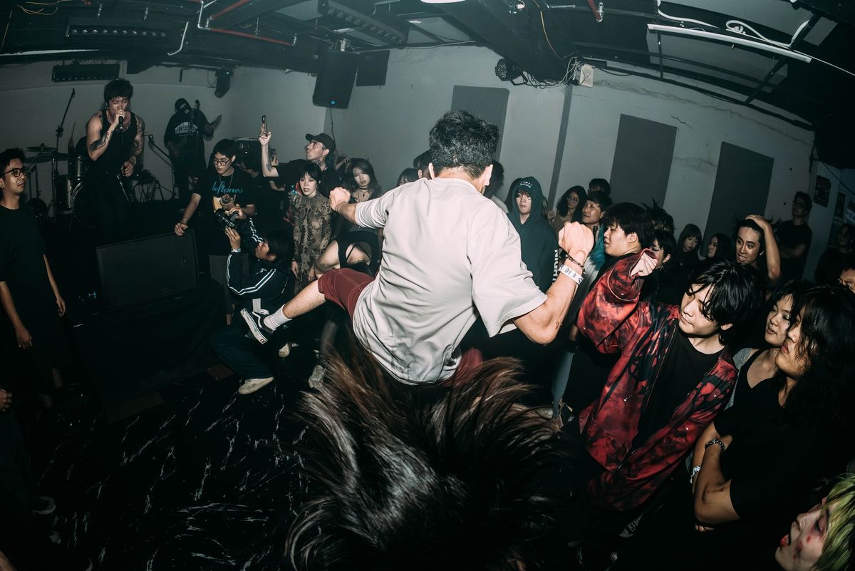 Cycle of Violence