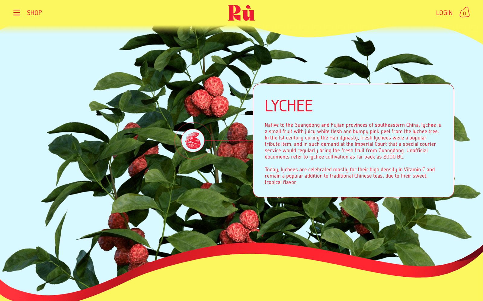 Web design for interactive educational product section