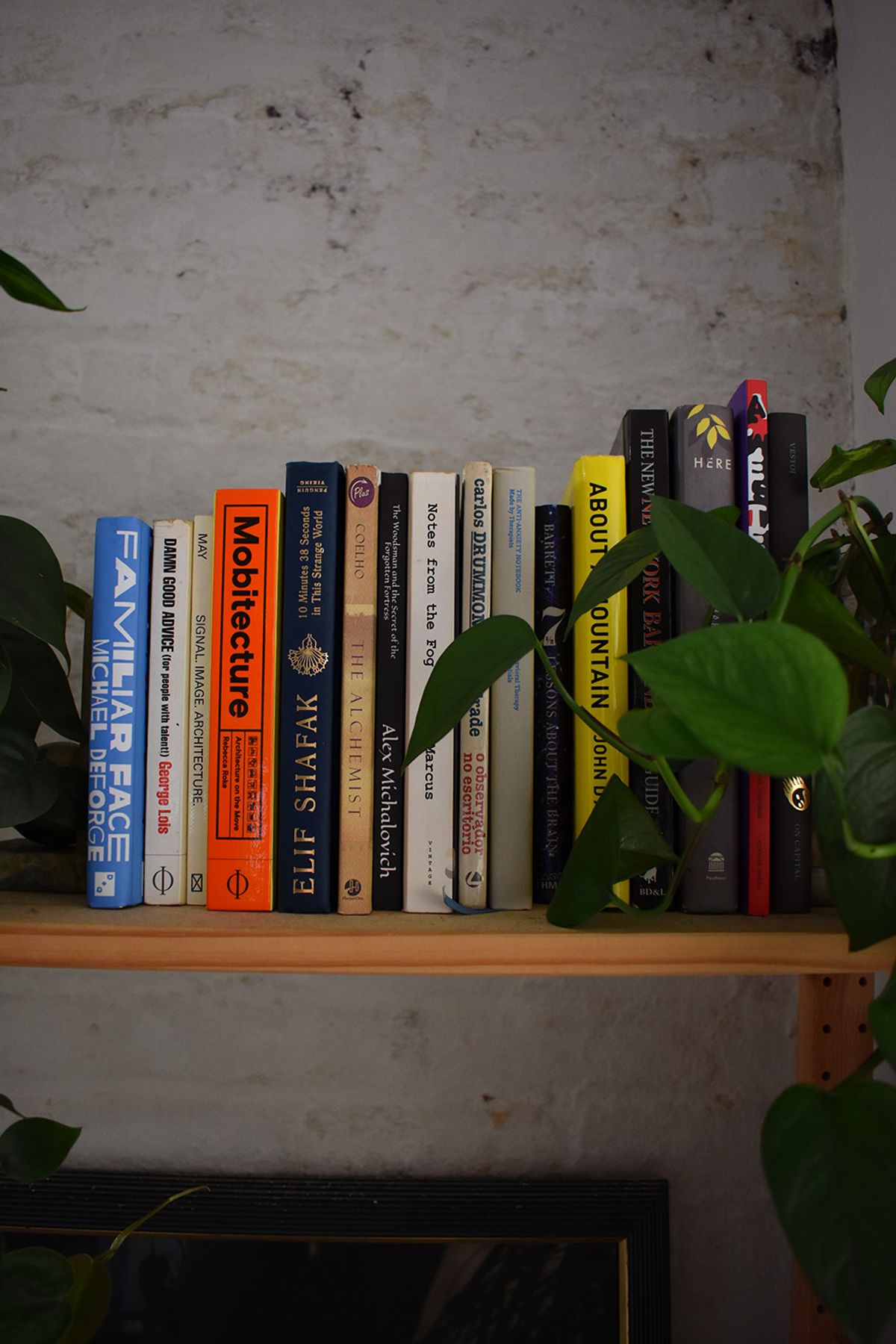 Ikea bookshelf with various books