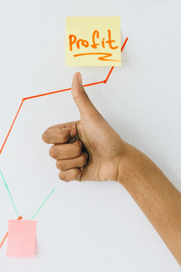 Gaining profit from online business