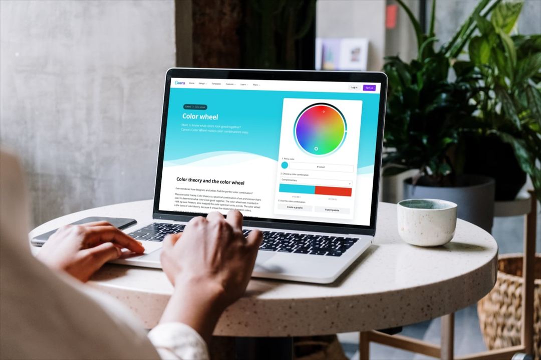 Canva Color Wheel