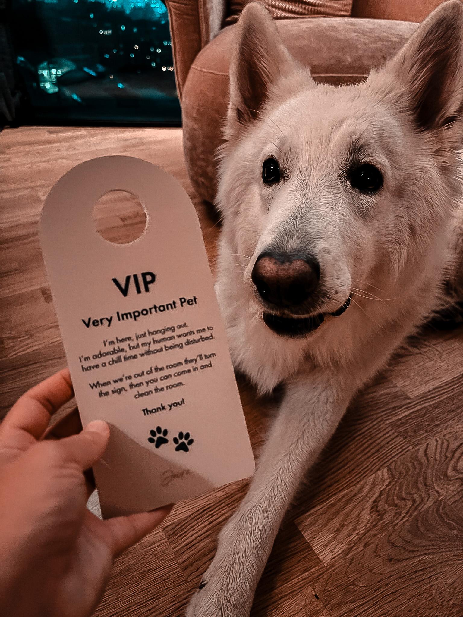 Türschild VIP - Very important Pet