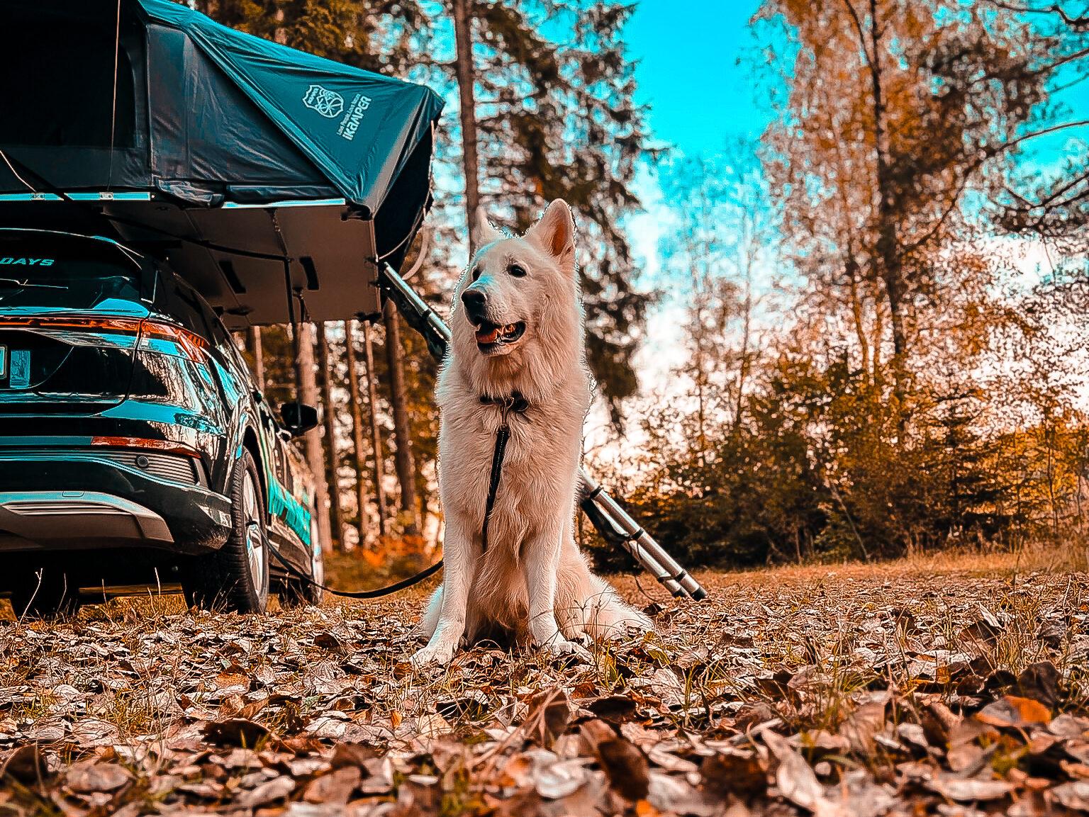 Jukon vor dem Auto mit Dachzelt