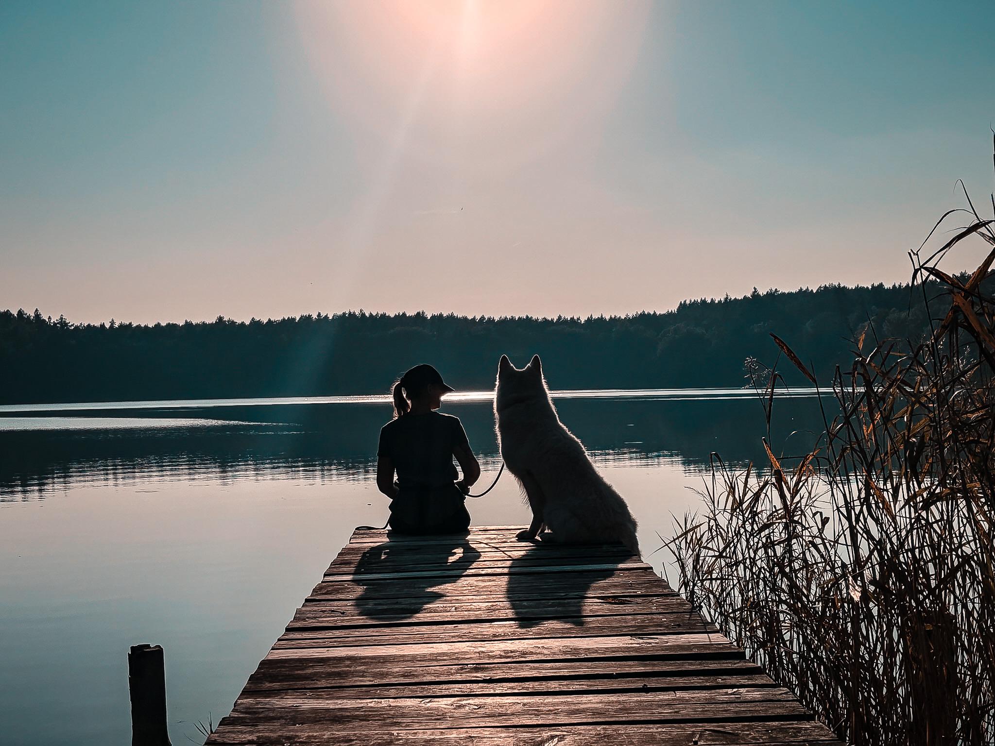 Frau und weißer Schäferhund auf den Steg mit Ausblick auf See
