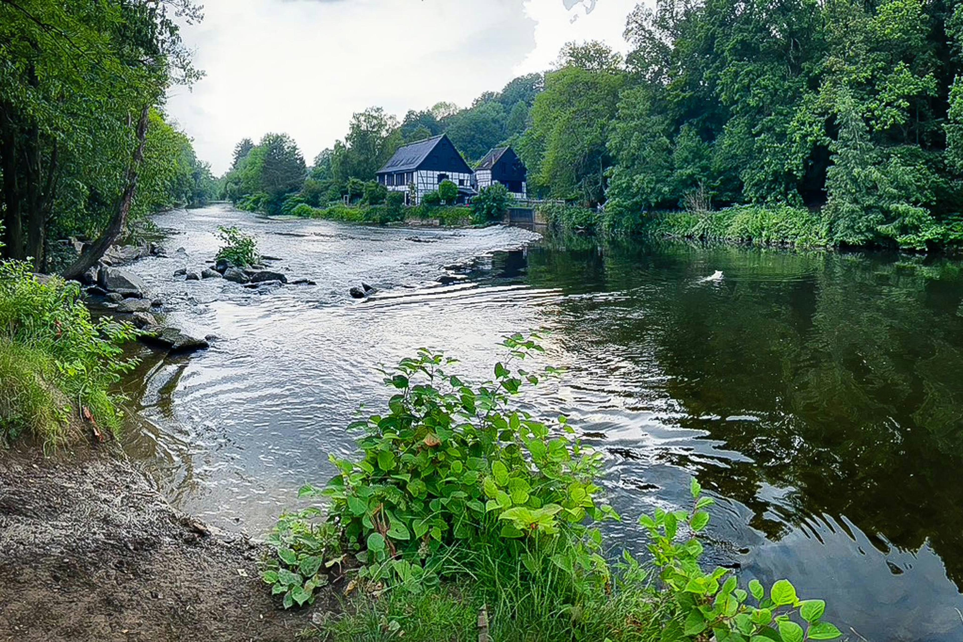 Bergisches Land Aktivitäten
