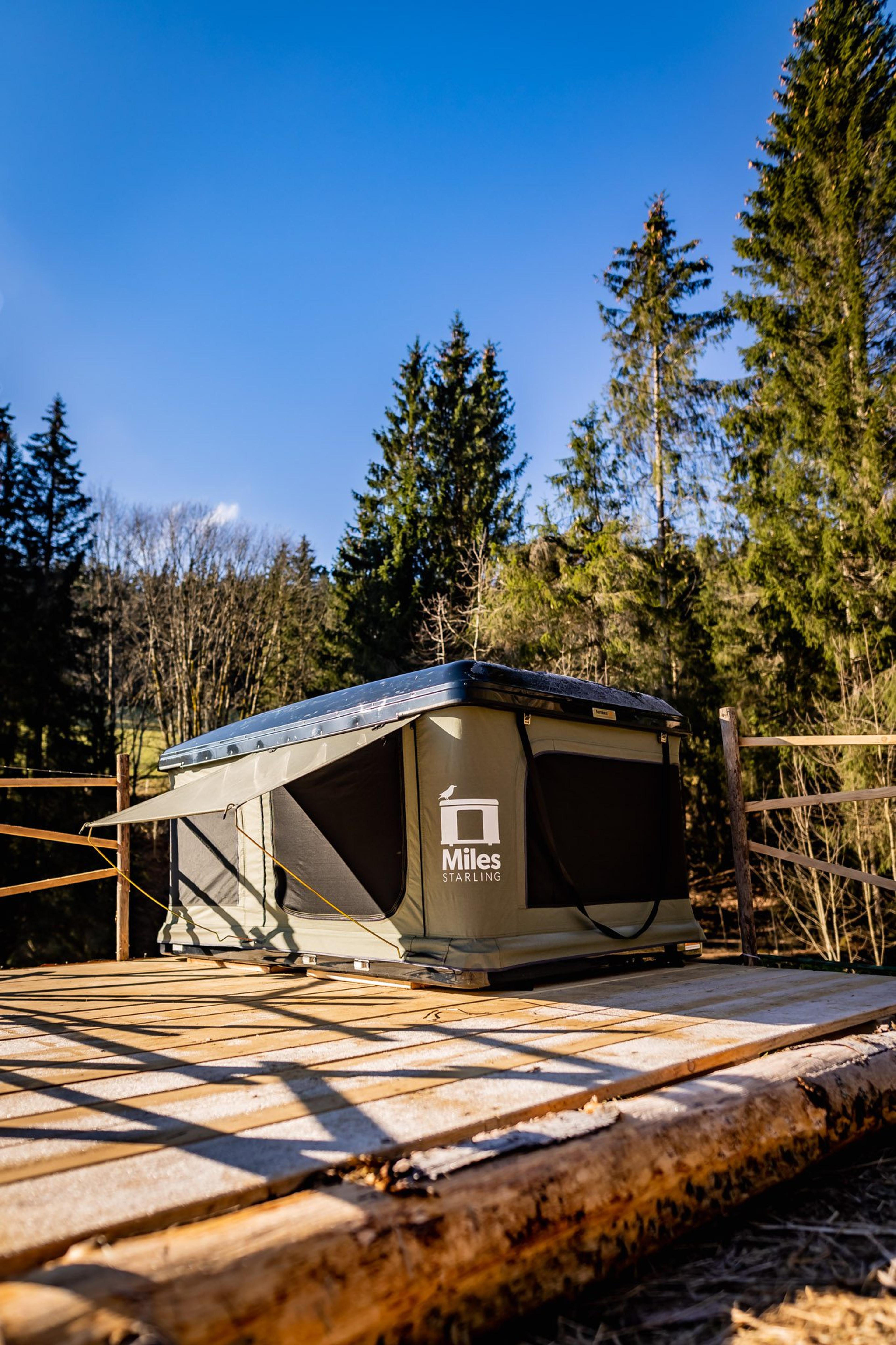 Dachzelt auf einer Holzplattform vor Nadelwald