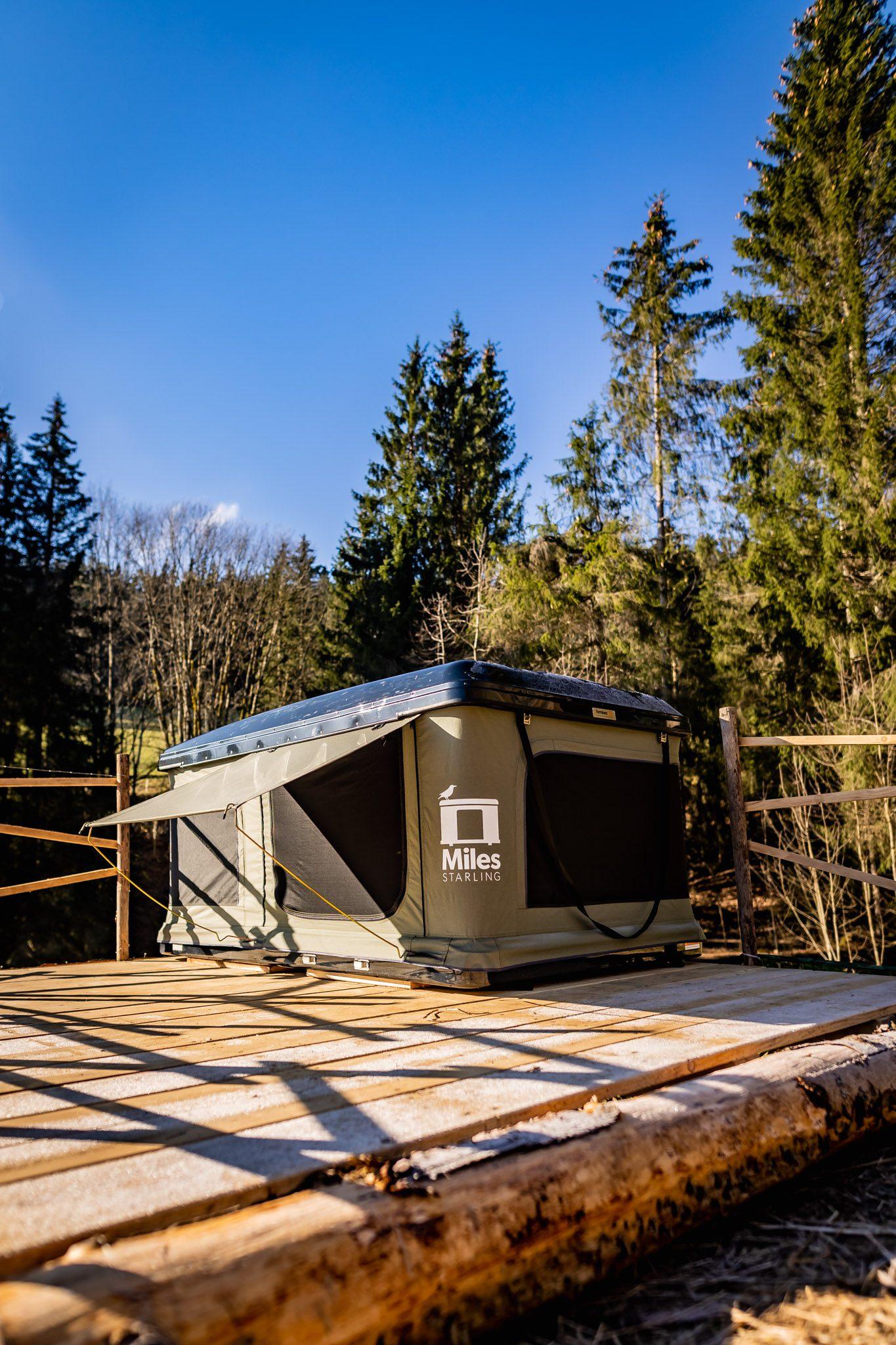 Dachzelt auf einer Holzplattform vor Nadelwald