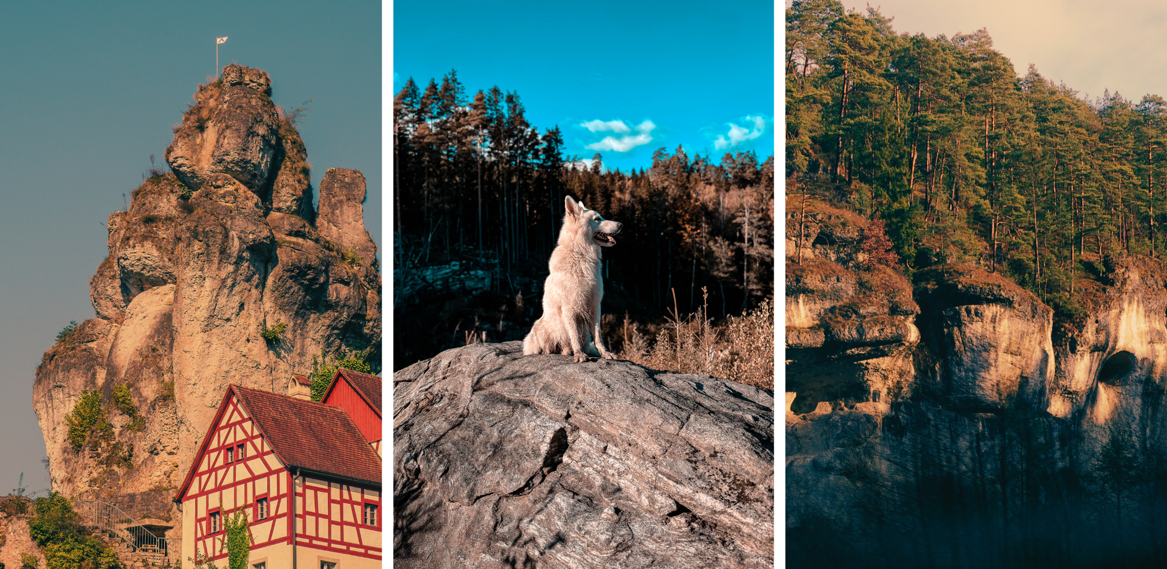 Fränkische Schweiz mit Hund