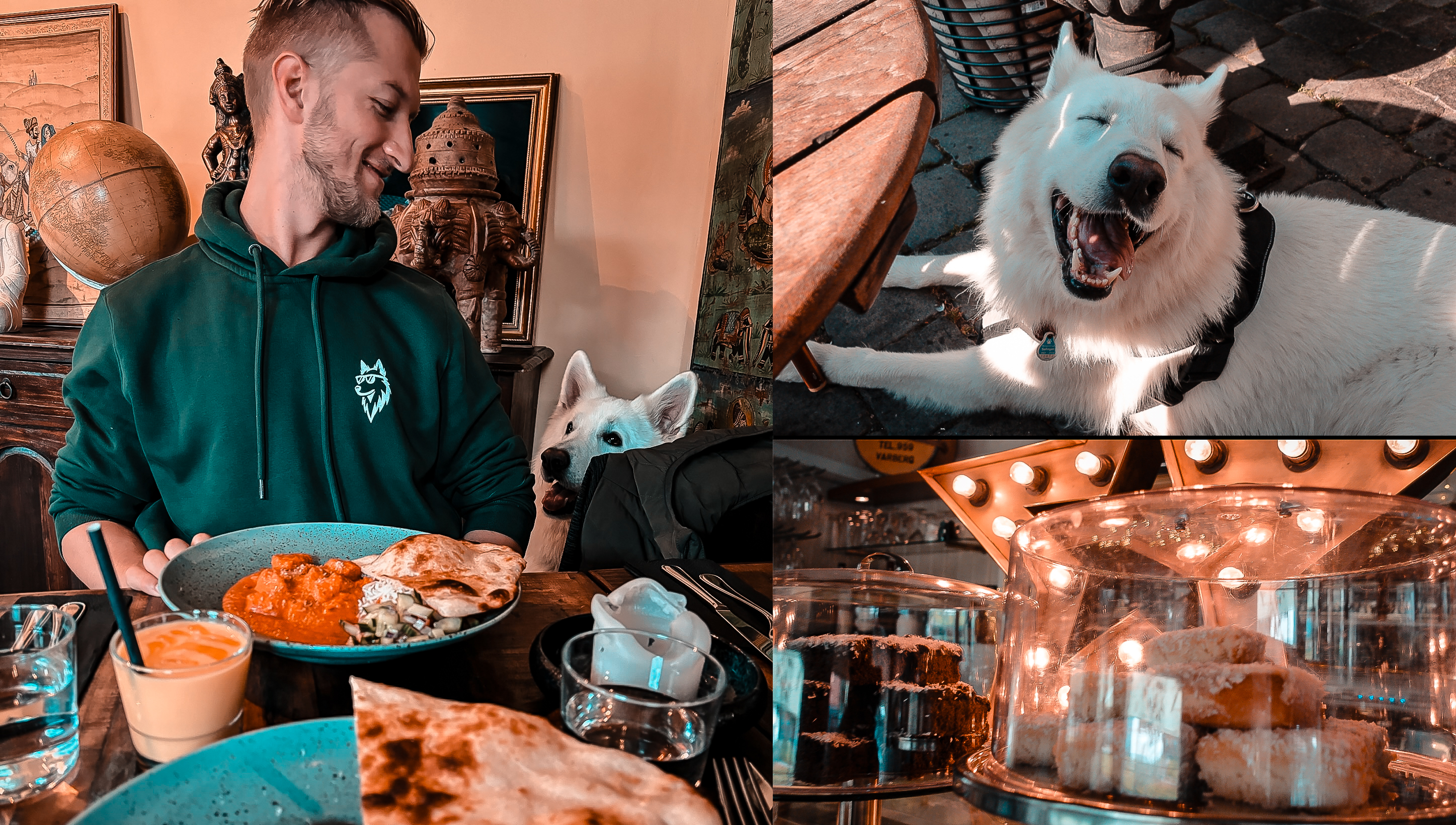 Collage: Weißer Schäferhund liegt entspannt im Restaurant, während wir in Schweden essen
